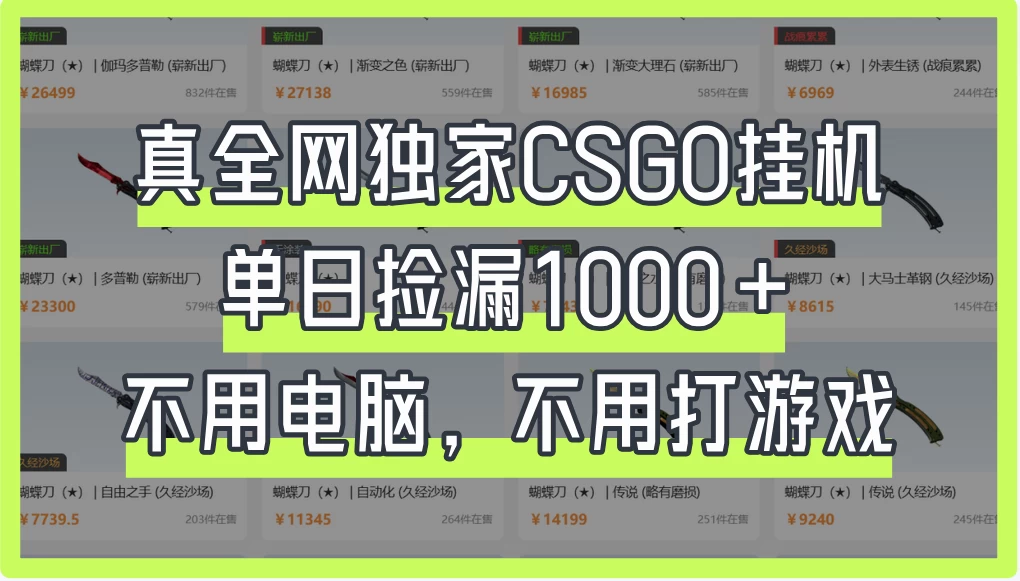 真全网独家CSGO挂机,单日捡漏1000+,不用电脑,不用养号 第1张 真全网独家CSGO挂机,单日捡漏1000+,不用电脑,不用养号 第1张