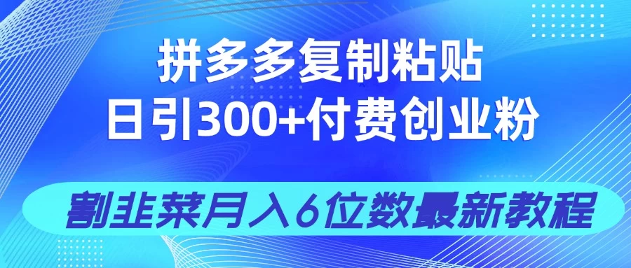 拼多多复制粘贴日引300+付费创业粉，割韭菜月入6位数最新教程！ 第1张