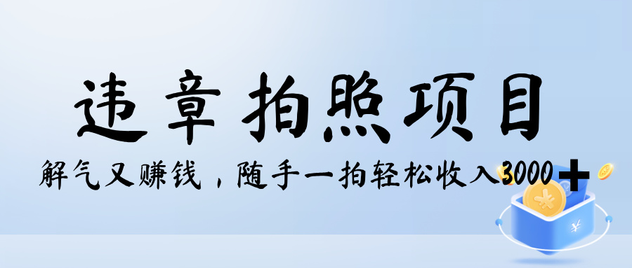解气又赚钱的项目,最新违章拍照赚钱,随手一拍,轻松收入3000+ 第1张 解气又赚钱的项目,最新违章拍照赚钱,随手一拍,轻松收入3000+ 第1张