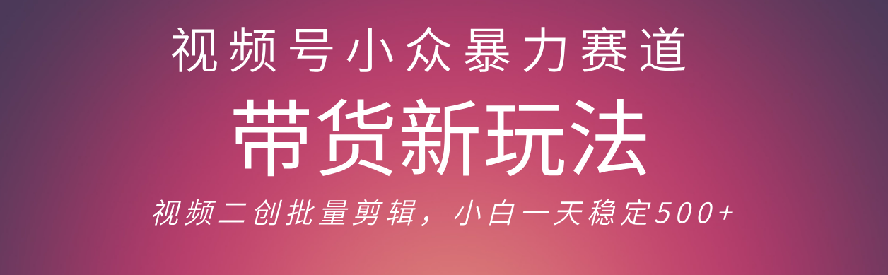 视频号小众暴力赛道,最新带货玩法 小白也能轻松日入500+ 保姆及教程 第1张 视频号小众暴力赛道,最新带货玩法 小白也能轻松日入500+ 保姆及教程 第1张